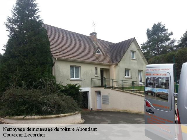 Nettoyage demoussage de toiture  abondant-28570 Couvreur Lecordier