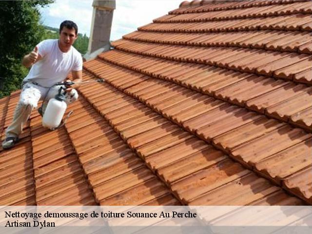 Nettoyage et demoussage de toiture à Souance Au Perche tél: 02 52