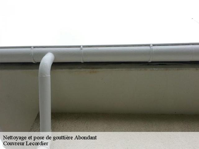 Nettoyage et pose de gouttière  abondant-28570 Couvreur Lecordier