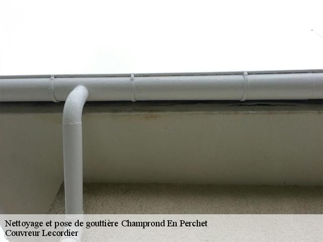 Nettoyage et pose de gouttière  champrond-en-perchet-28400 Couvreur Lecordier