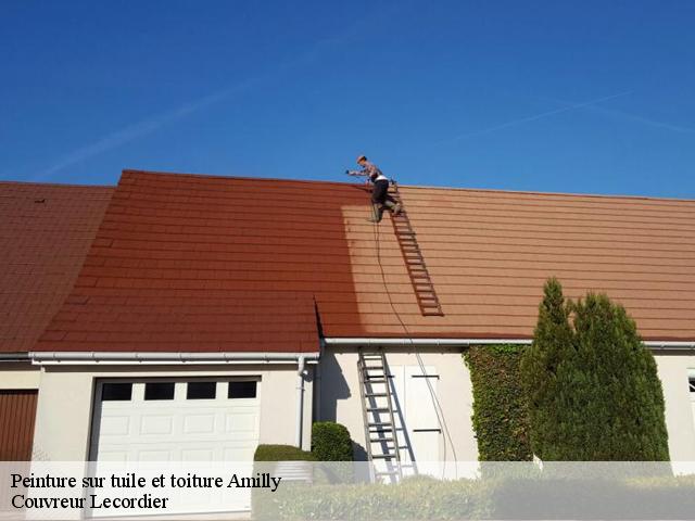 Peinture sur tuile et toiture  amilly-28300 Couvreur Lecordier